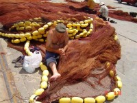 /album/galeria-de-fotos/arte-da-pesca-jpg/